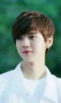 蔡旭坤家庭背景