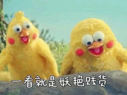 贱货的图片,揭秘网络流行语的演变与影响