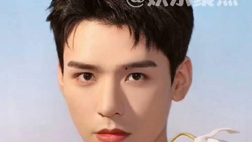 明星大华资料,星光璀璨的影视新星，多才多艺的全面艺人