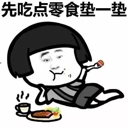 胖肉表情包,萌态可掬，欢乐满溢的社交新宠