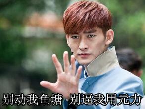 张瀚鱼塘表情包,网络热梗背后的趣味与思考