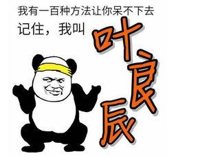 前将军表情包
